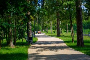 Порядка 1,5 тысячи «зелёных зон» уже внесли в систему РГИС в Подмосковье