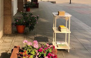 В ДК «Победа» проходит акция по бесплатному обмену книгами