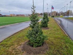 На футбольном стадионе в п.Электроизолятор посадили деревья