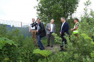 На территории Раменского городского округа борщевиком Сосновского поражено 350 га земли