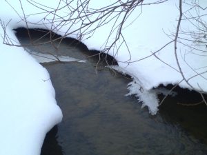 После вмешательства Минэкологии прекращено загрязнение водного объекта в Раменском округе