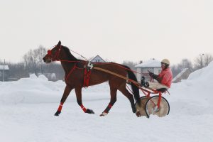 12 февраля на Раменском ипподроме пройдут традиционные субботние бега