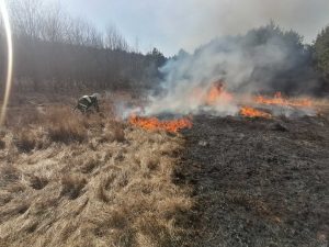 Стартовала кампания против палов травы и лесных пожаров «Останови огонь!»