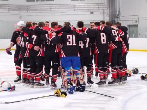 Команда «Дружина» из Гжели стала победителем Регионального турнира Ночной хоккейной лиги Московской области