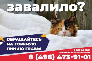 Завалило снегом? Обращайтесь на горячую линию главы