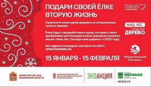 Акция «Подари своей ёлке вторую жизнь» пройдет в начале следующего года