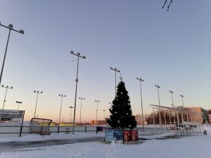 В ТУ Новохаритоновское завершили новогоднее оформление