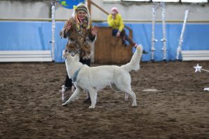 Семейный фестиваль «Дог Шоу Арена» пройдет  в большом манеже Раменского ипподрома