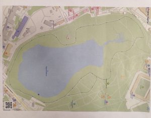 В «РамМедиа» состоялся круглый стол по вопросу велолыжероллерной трассы