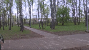 Сквер в поселке Рылеево участвует в голосовании за благоустройство