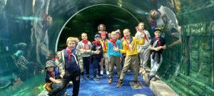 Какие каникулы – умные?