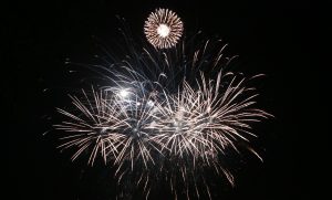 Салюта в День Гжельского куста не будет