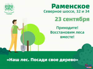 На северном шоссе пройдет акция «Наш лес. Посади свое дерево»
