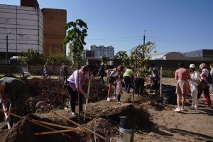 Деревья и кустарники высадили на Баулинском пруду в Островцах