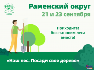 21 сентября в Дубовой роще высадят березы