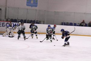 Коллективы физической культуры сыграют в хоккей