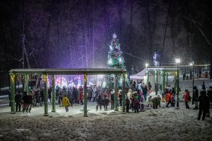 В новогодние каникулы Раменский парк работает для вас