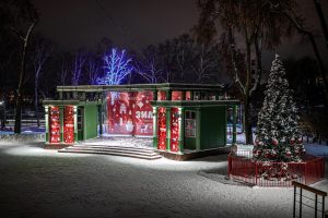 Раменский парк приглашает на программу «Новогодняя экология»