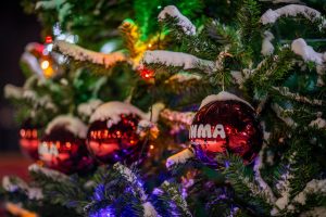 Раменский парк подготовил программу «Новый год под шубой»