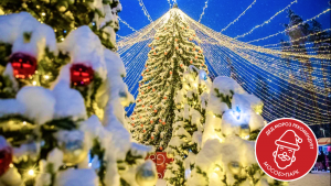 Раменский парк получил знак качества «Дед Мороз рекомендует»