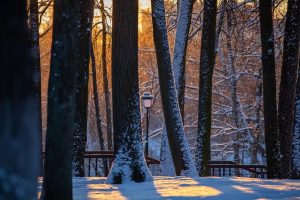 Фотовыставка «Город в лицах» откроется в парке в это воскресенье