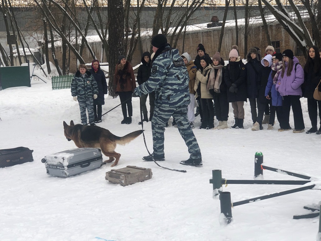 Архивы МУ МВД России «Раменское» - Страница 3 из 7 - РамМедиа - Раменский  городской округ - Раменское