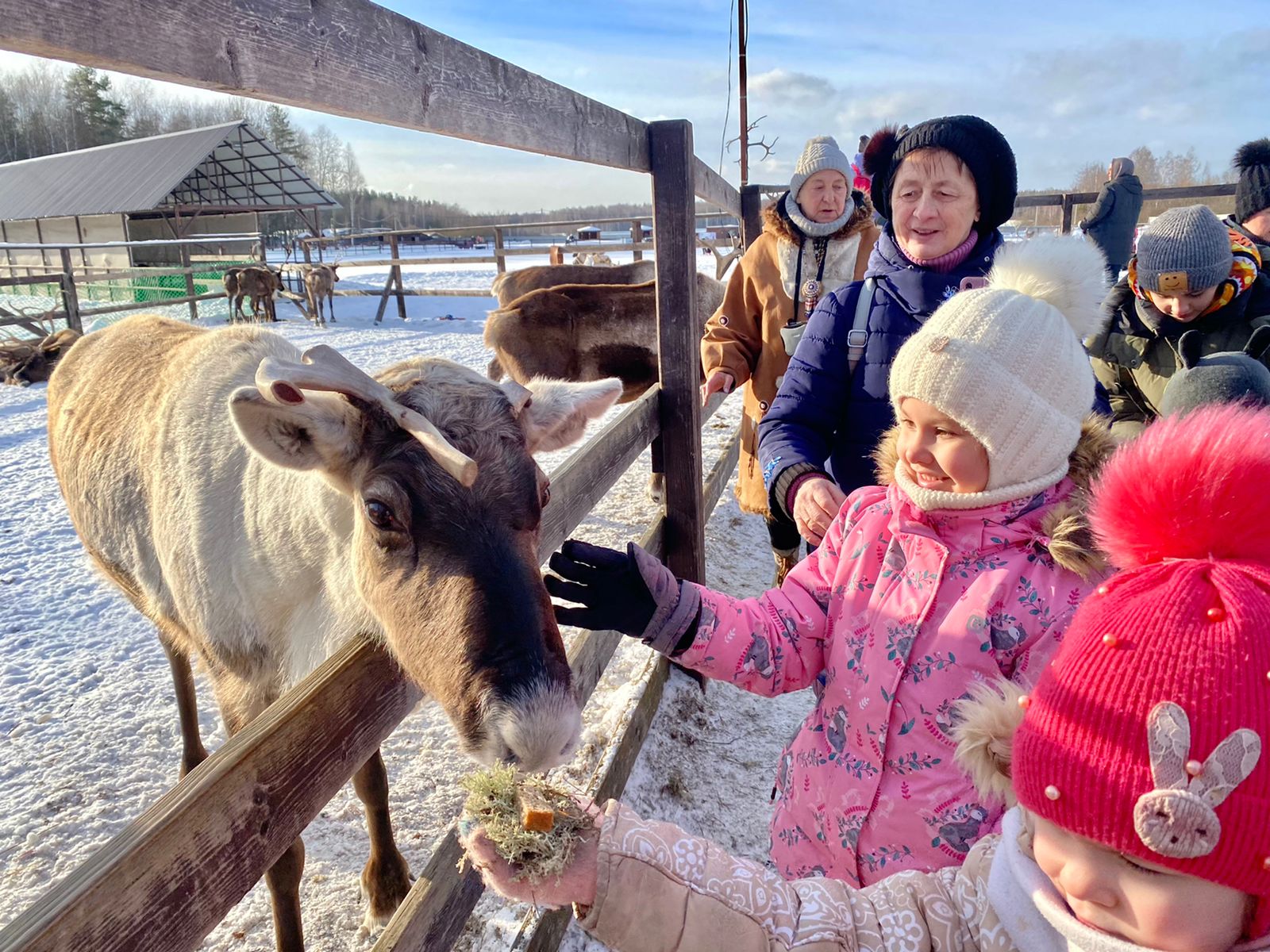 Архивы Раменское - Страница 59 из 521 - РамМедиа - Раменский городской  округ - Раменское