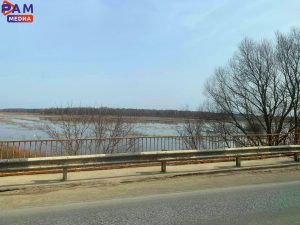 Подтопление части СНТ «Мрия» на землях сельхозназначения зафиксировано в Раменском округе