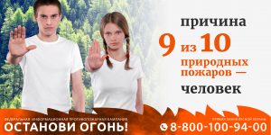 Пожары наносят природе, хозяйству, здоровью и жизни людей существенный вред