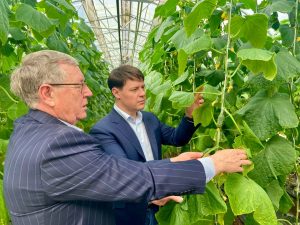 Владислав Мурашов оценил работу агрофирмы в Раменском по импортозамещению