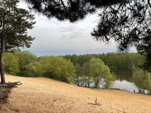 Интерактивный поход «Ночная история 2024» состоится в Раменском округе