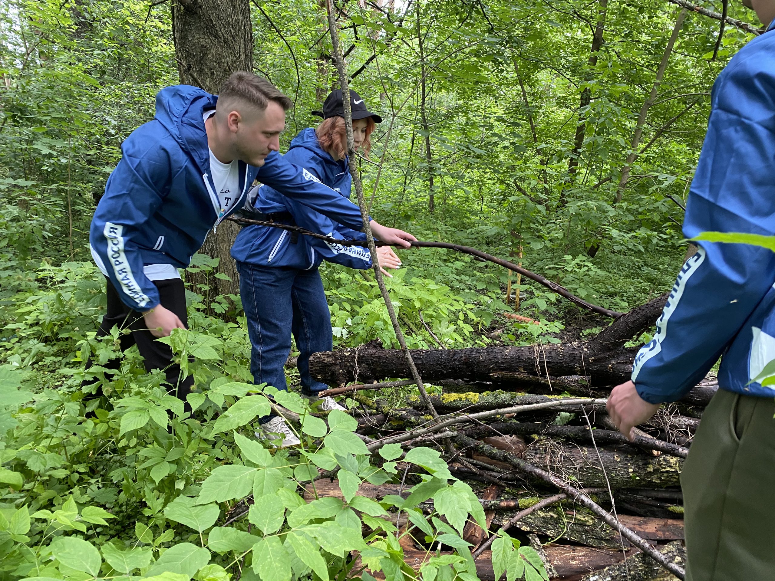 В Раменском городском округе единороссы запустили экологический проект  «Чистый лес» - РамМедиа - Раменский городской округ - Раменское