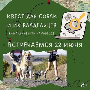 Квест «Патриот» для собак и их владельцев состоится в Раменском округе 22 июня