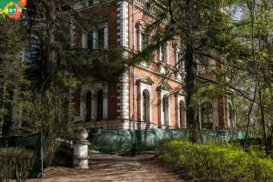 В усадьбе Быково Раменского округа пройдёт III пионовый фестиваль 