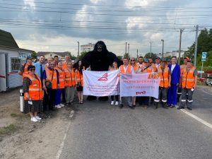 Большую гориллу засняли на железнодорожном переезде в п.Дружба