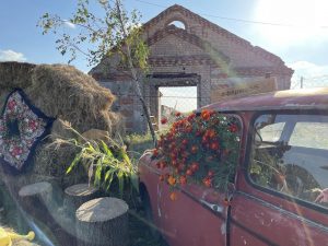 На «Ферме 56» в Раменском округе отреставрируют фасад 1956 года