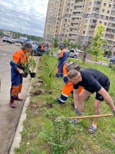 Совместно с активными жителями Раменского проведены работы по озеленению двора