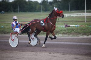 28 июля на Раменском ипподроме состоится Праздник рысистого коннозаводства