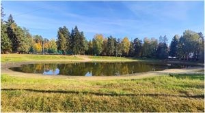 Ильинский пруд в Раменском округе станет комфортной зоной отдыха