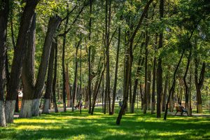 Мероприятия, посвященные Дню города Раменское, пройдут уже в эту субботу