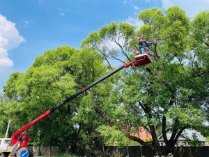 В деревне Дементьево Раменского городского округа проводится капитальный ремонт высоковольтной воздушной линии