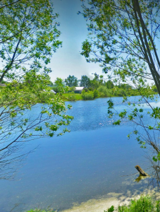 Жители Раменского округа могут проголосовать за водоем для санитарной очистки в 2025 году