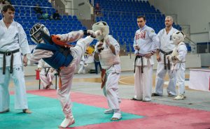 Соревнования по киокусинкай пройдут в Раменском