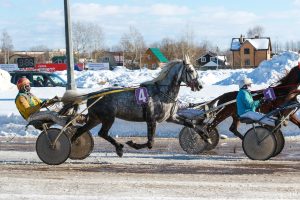 Последний беговой день сезона 2024 на Раменском ипподроме пройдет в воскресенье, 29 декабря