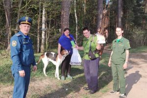 Профилактические рейды в популярных местах отдыха на территории лесного хозяйства