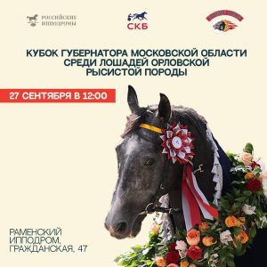 На Раменском ипподроме разыграют Кубок Губернатора Подмосковья по рысистым бегам