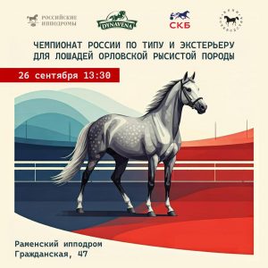 На Раменском ипподроме определят лучших орловских рысаков России