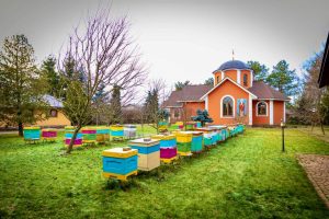 Раменский округ вошел в число лидеров Подмосковья по производству мяса и молока