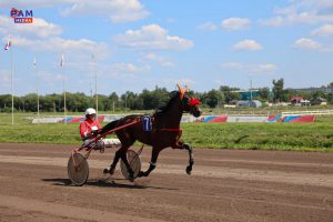 Раменский ипподром закроет летний беговой сезон фестивалем «Русская Тройка»