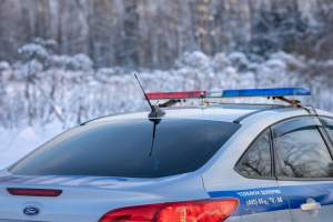 Раменскими полицейскими раскрыта кража телефона